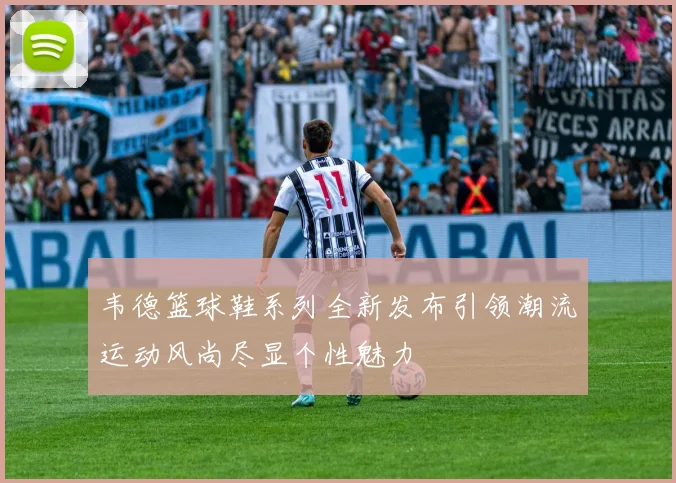 韦德篮球鞋系列全新发布引领潮流运动风尚尽显个性魅力