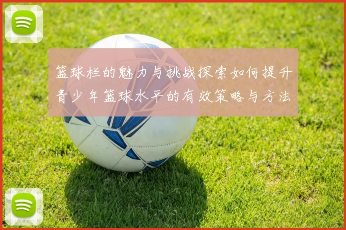 篮球栏的魅力与挑战探索如何提升青少年篮球水平的有效策略与方法