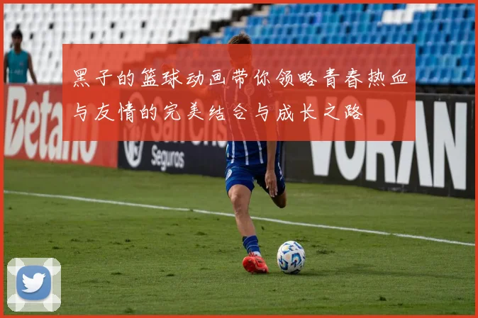 黑子的篮球动画带你领略青春热血与友情的完美结合与成长之路