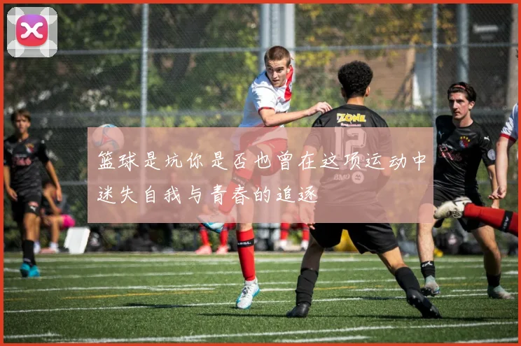 篮球是坑你是否也曾在这项运动中迷失自我与青春的追逐