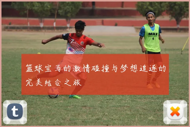 篮球宝马的激情碰撞与梦想追逐的完美结合之旅