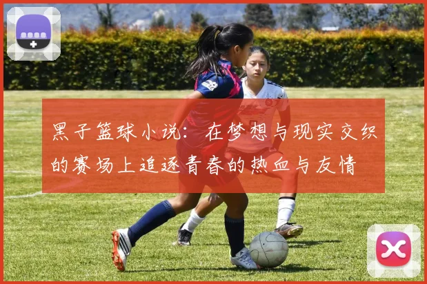 黑子篮球小说：在梦想与现实交织的赛场上追逐青春的热血与友情