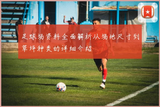足球场资料全面解析从场地尺寸到草坪种类的详细介绍