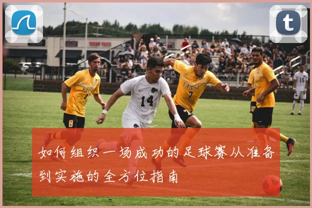 如何组织一场成功的足球赛从准备到实施的全方位指南