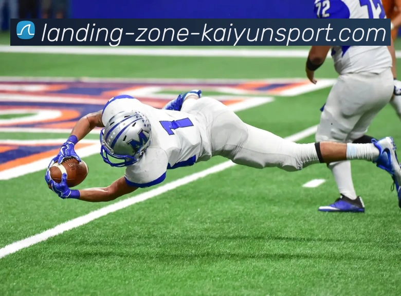 开云平台生态图